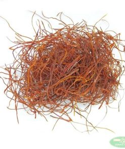 Chilli paprika “Angel Hair” 15g